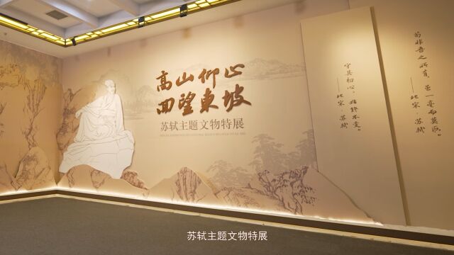 2022年度“十大精品”展览推介:高山仰止 回望东坡——苏轼主题展