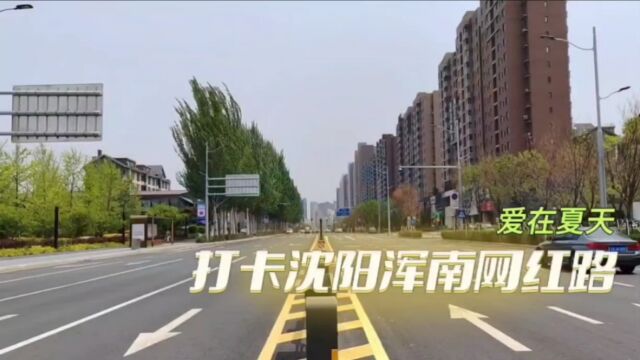 爱在夏天,打卡沈阳浑南网红路,全长 2.4 公里