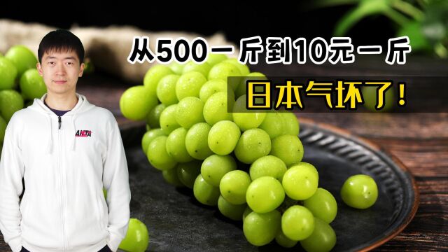 从500一斤到10元一斤,中国阳光玫瑰大降价,日本人要起诉我们?