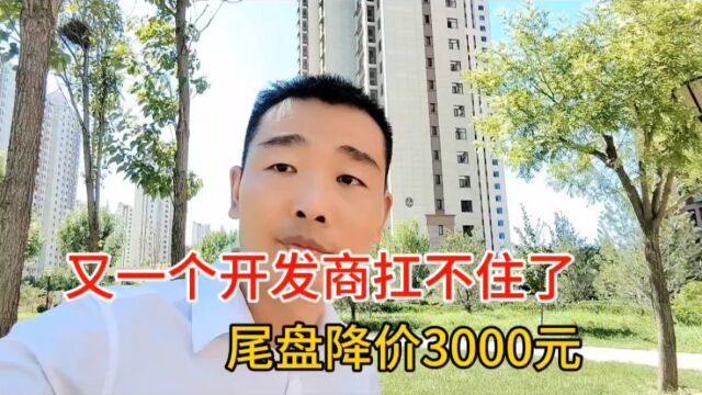 又一个开发商扛不住了,尾盘降价3000元!