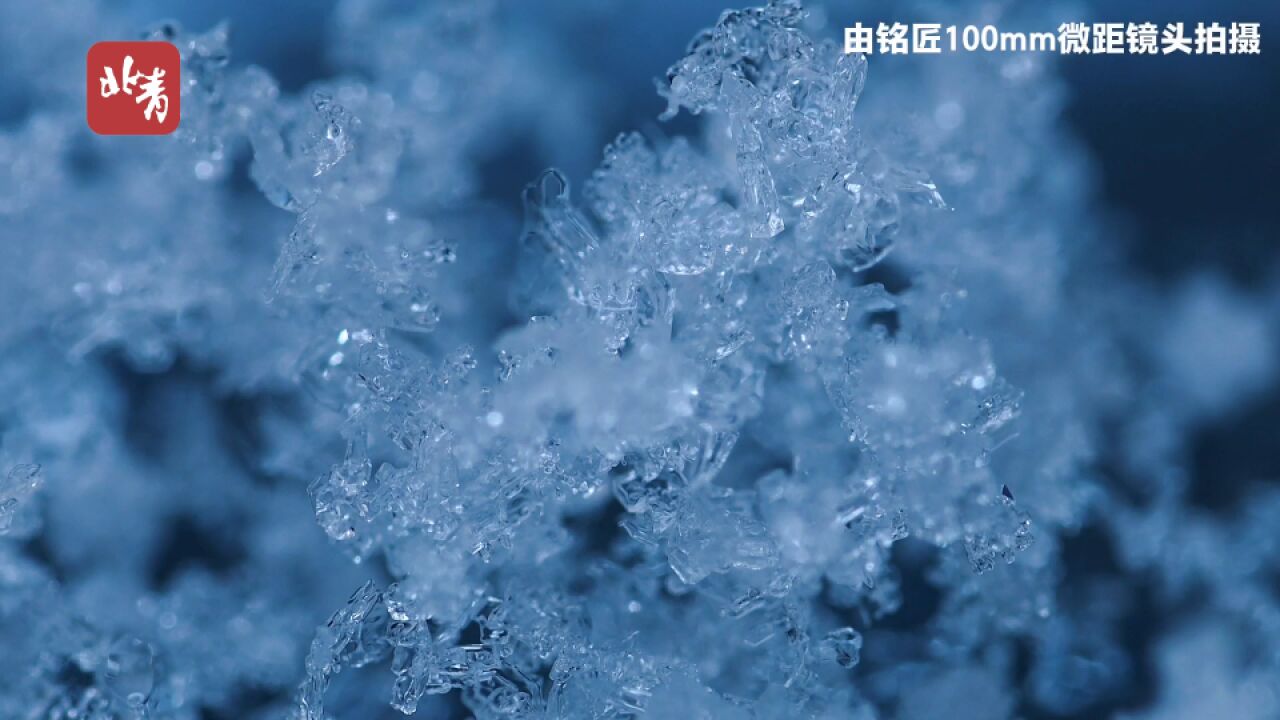 微距看雪花!北京这场晶莹透亮的初雪是什么形状?