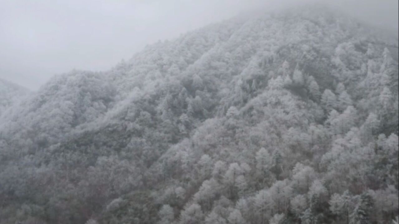 解锁“初雪”模式 航拍视角赏安吉美景