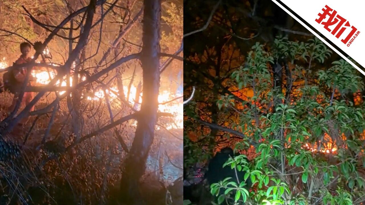 云南建水山火持续多日救援人员日夜扑救:一处山火刚扑灭又发生新火情