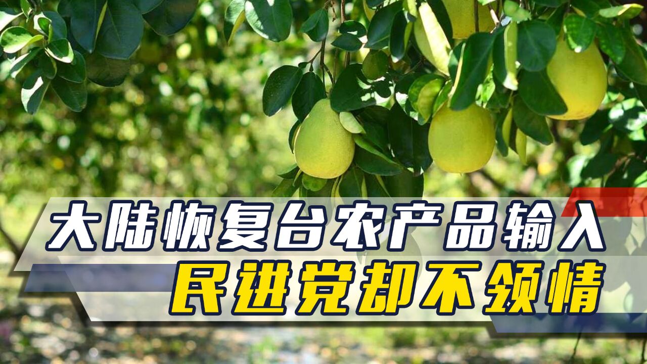 大陆恢复台农产品输入,民进党却不领情,台南市长罕见为大陆说话