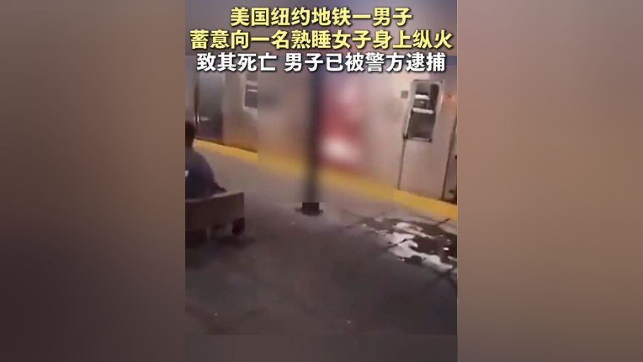 美国纽约地铁一男子蓄意向一名熟睡女子身上纵火致其死亡,男子已被警方逮捕. (来源丨顶端新闻)