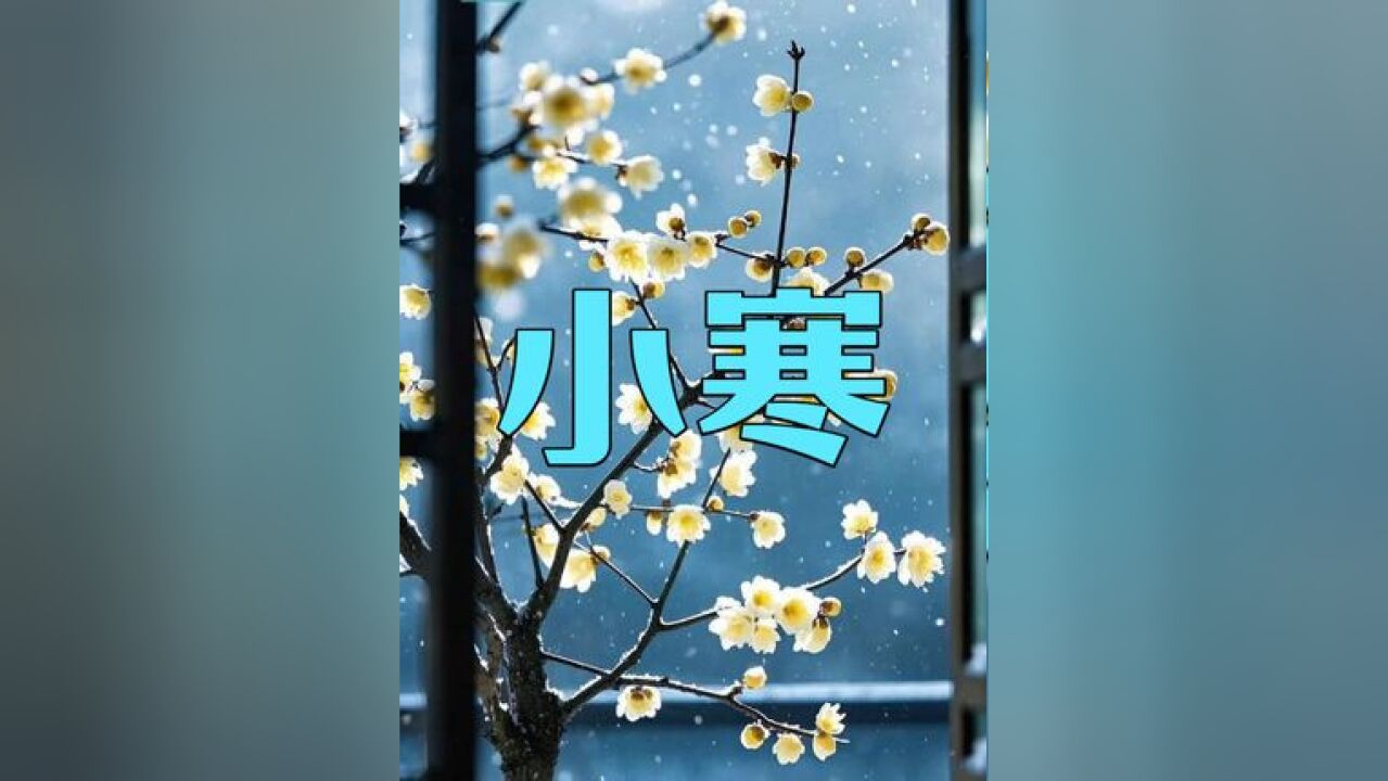 AI说 古诗里的二十四节气ⷥ𐏥小寒连大吕,欢鹊垒新巢