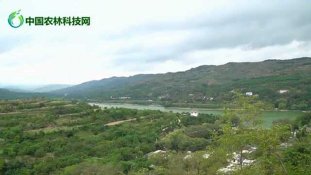 路过甘肃西和姜席镇,远眺最美高山生态水库晚霞湖