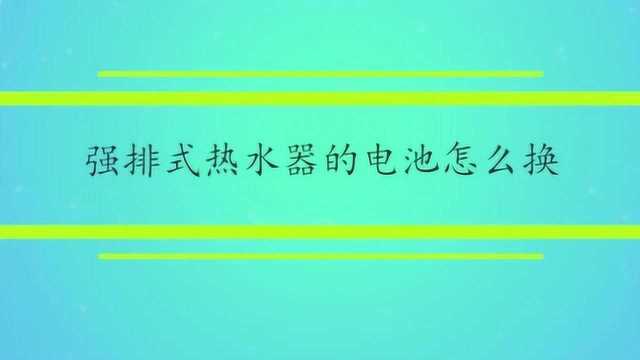 强排式热水器的电池怎么换