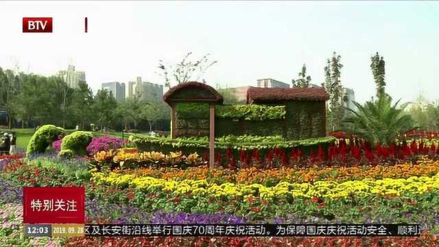 市属公园布置36组花坛,拉开新中国成立70周年主题游园帷幕