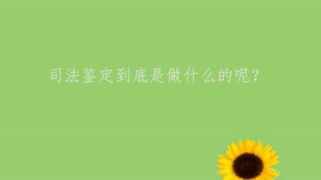 司法鉴定到底是做什么的呢?