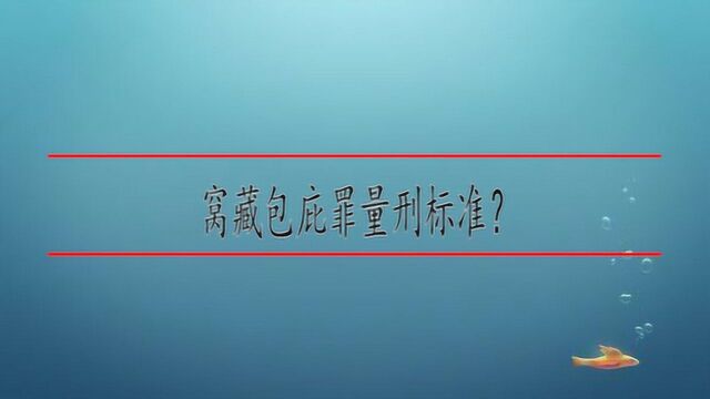 窝藏包庇罪量刑标准?