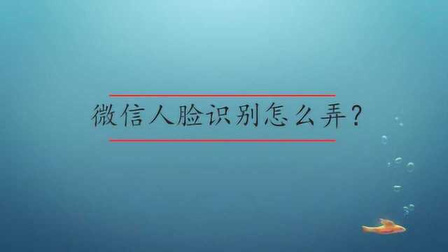 微信人脸识别怎么弄?