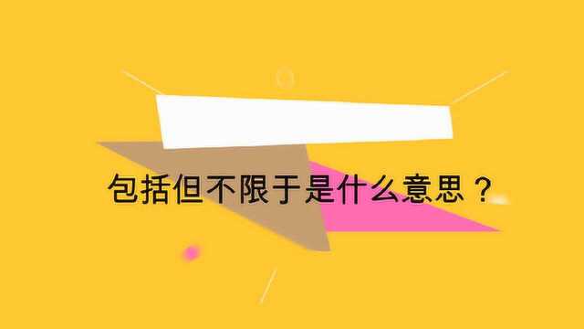 包括但不限于是什么意思?