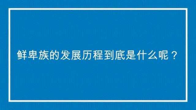 鲜卑族的发展历程到底是什么呢?