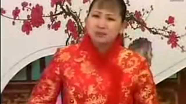 胡中花唱河南坠子书《恶闺女》太经典了