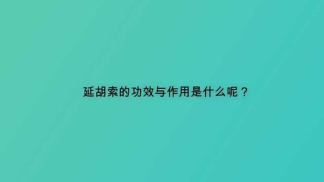 延胡索的功效与作用是什么呢?