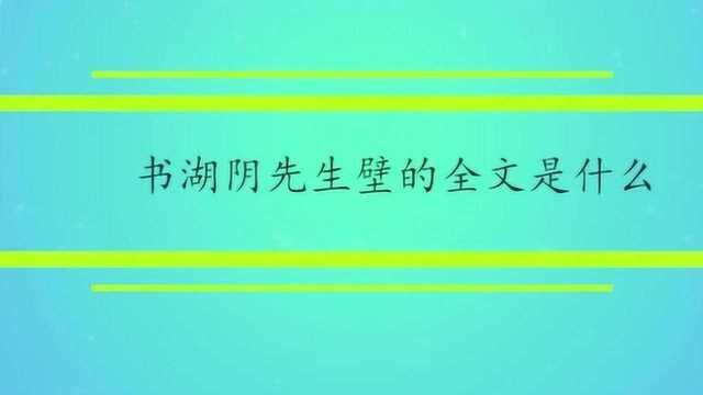 书湖阴先生壁的全文是什么