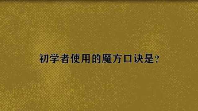 初学者使用的魔方口诀是?