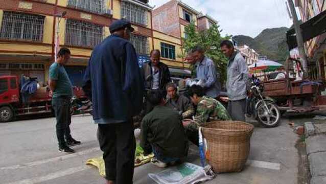 小莫摆地摊卖鸽子,路人光看不买,识货大爷一到场,瞬间被抢光