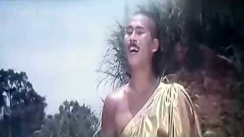 Thumbplayer Poster Plugin Image