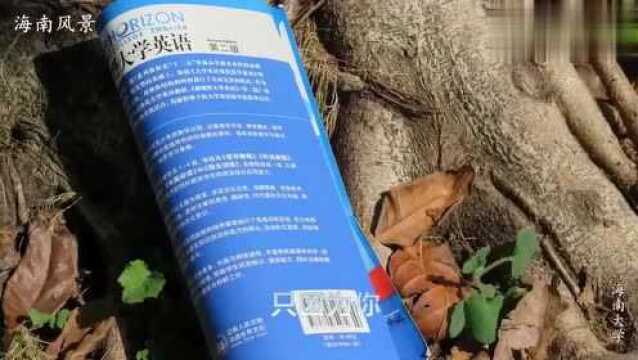 鸟瞰海南大学,是你们梦想中的大学吗?海南大学出国留学有什么呢