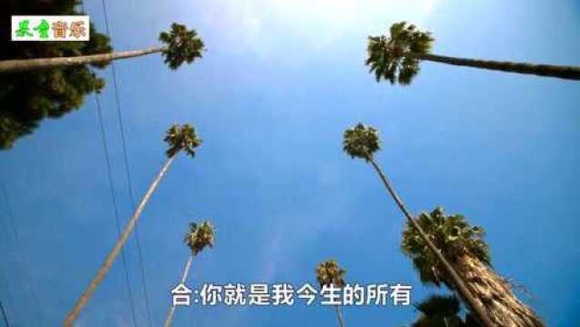 经典网络热门歌曲《爱在左情在右》DJ版 非常好听