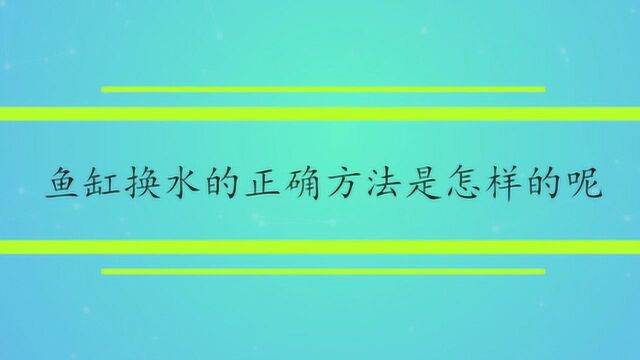 鱼缸换水的正确方法是怎样的呢