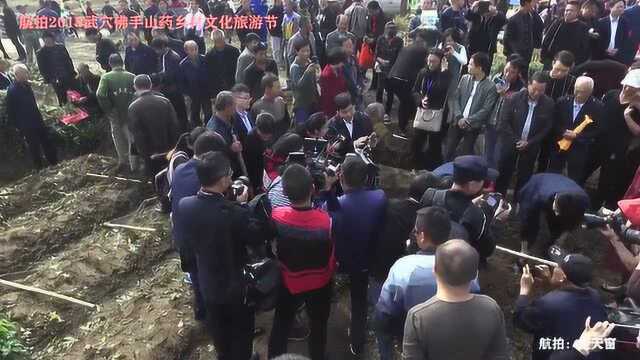 第四届武穴佛手山药乡村文化旅游节(楚天窗)