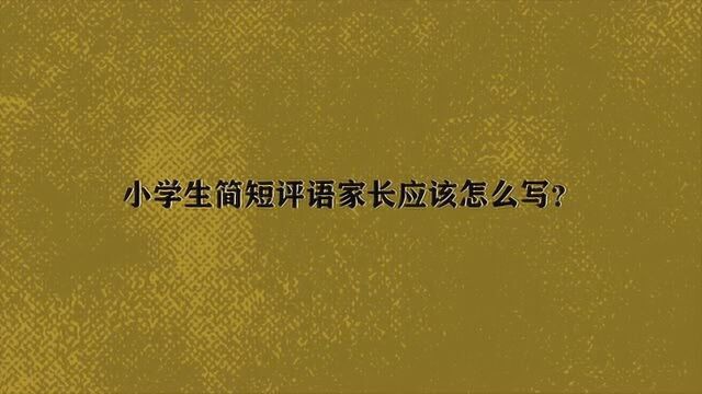 小学生简短评语家长应该怎么写?