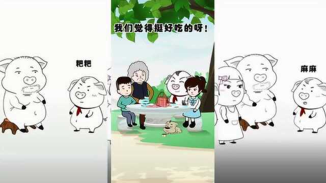 正能量猪屁登:谁能帮忙写一篇吐后感