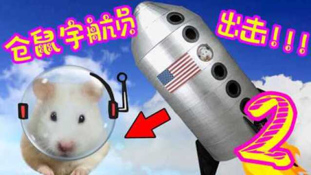 Hamster:可爱仓鼠勇闯航天飞机,大屁股扭呀扭呀,就找到出口啦