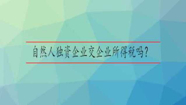 自然人独资企业交企业所得税吗?