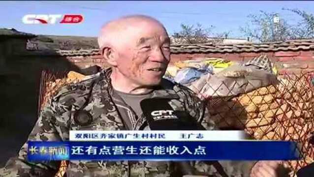 广生村脱贫致富快马加鞭,壮大村集体收入,更要增加村民收入