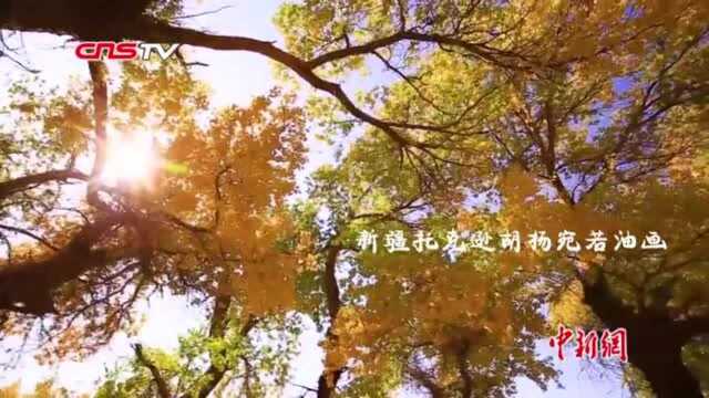 秋天别走!盘点值得一看的秋季美景