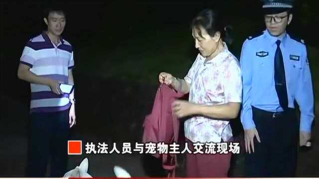 现场查处城市禁养犬只 您的爱犬超标了吗?