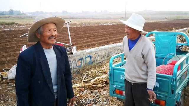 罗庄区沂堂镇2018年社会投资土地整治项目