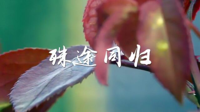 琴箫合奏《殊途同归》悠悠古韵,涤荡心灵