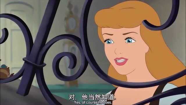 仙履奇缘3:灰姑娘要振作起来,王子会记得你的