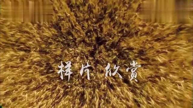 在希望的田野上LED高清大屏幕演艺舞台背景视频