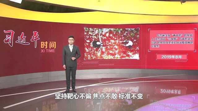 习近平时间|脱贫攻坚 习近平反复强调“抓重点”