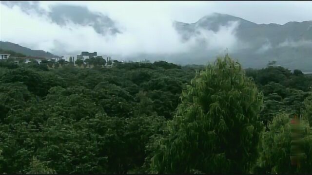 战争目光:江永良坚持凤凰山建设工作