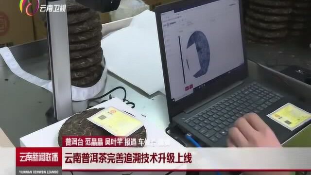 云南新闻联播:云南普洱茶完善追溯技术升级上线