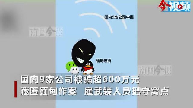 11名广西人躲到中缅边境,骗走9家公司600万元!