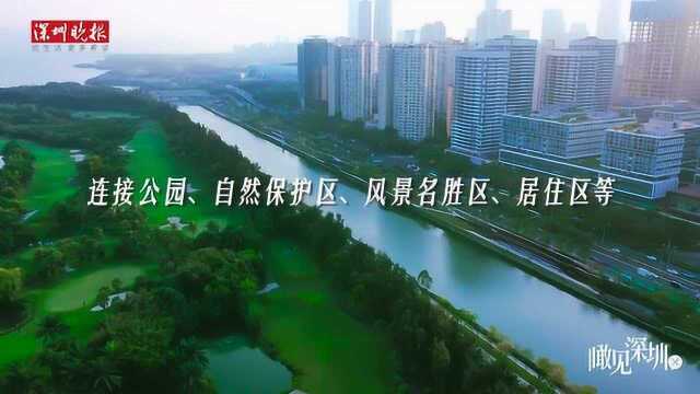 深晚航拍|在深圳,有一种风景叫碧道!