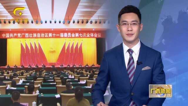 中国共产党广西壮族自治区第十一届委员会第七次全体会议公报