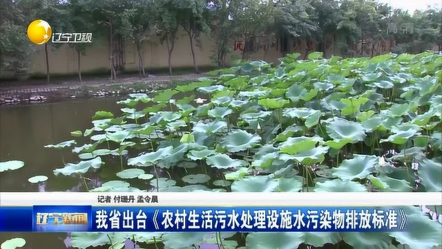 辽宁省出台《农村生活污水处理设施水污染物排放标准》