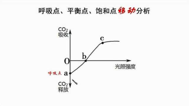 呼吸点、平衡点、饱和点移动分析,高中生物微课