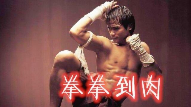 盘点 四部出现“泰拳”的经典电影,每个场景都实属高能!胆小者误入!