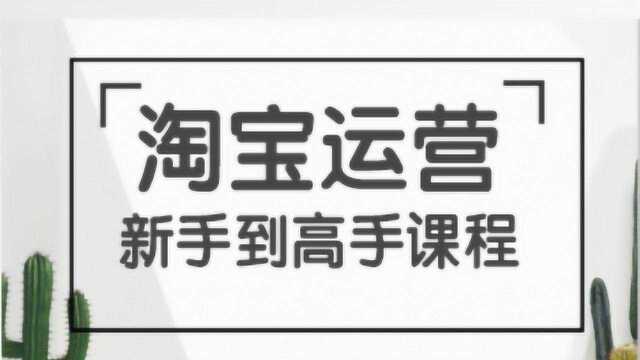 淘宝新手开店教程淘宝开店入门教学淘宝开店视频教程全集