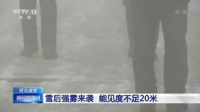 河北成安:雪后强雾来袭 能见度不足20米